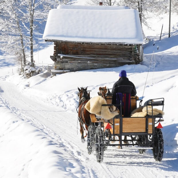 Pferdeschlittenfahrt durch Obertauern